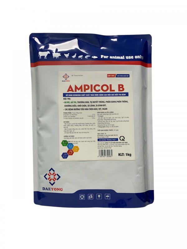 AMPICOL B